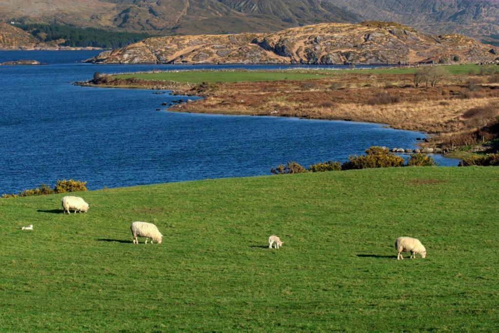 ホテルLakelands Farm House ウォータービル エクステリア 写真